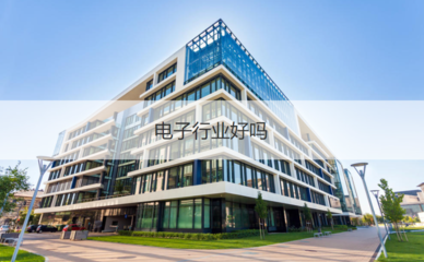 柳州微電子行業(yè) 企業(yè)待遇、工作體驗(yàn)與投資管理分析